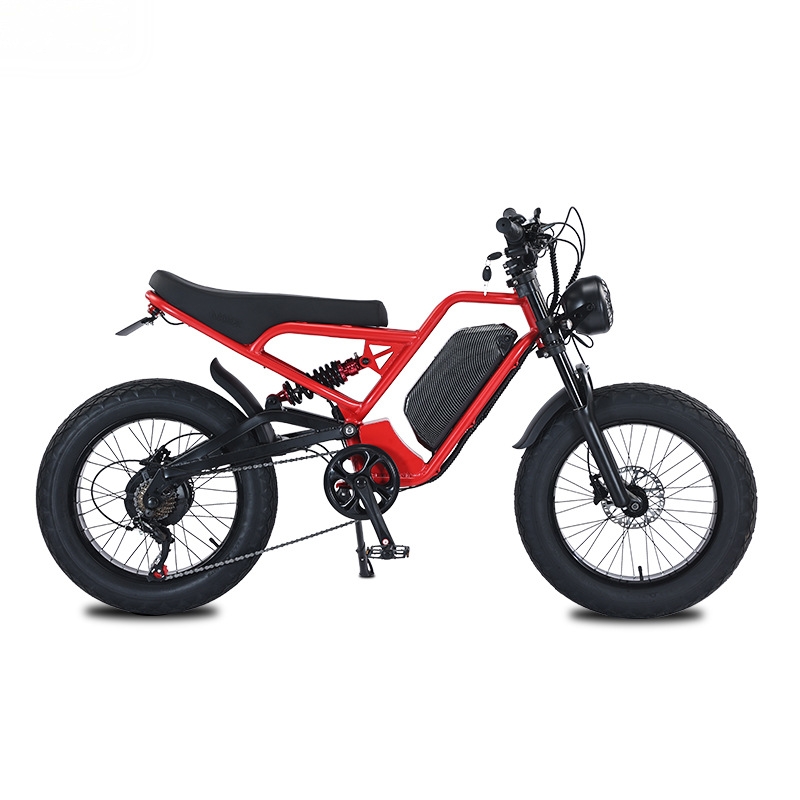RRE QQA 13Ah lithium battery 4 - 48V 1500W Rear Hub Motor With Battery recension och pris