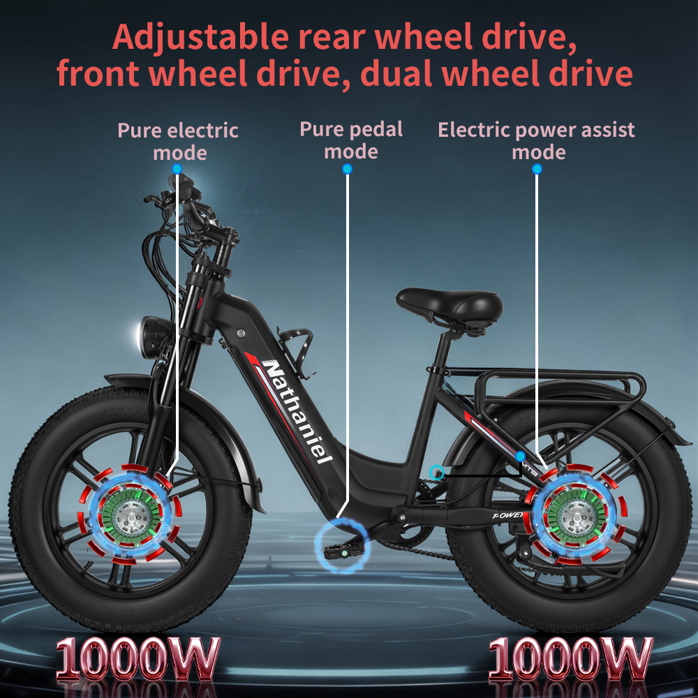 Adult Electric Bicycle Nathani - Dual Motor Ebike Kit 2000W recension och pris
